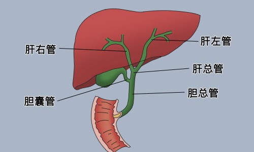 斑痣和色素痣哪个严重-色素痣和黑痣的区别专区_色素痣与黑色素痣一样吗专区_色素痣和色素斑区别网